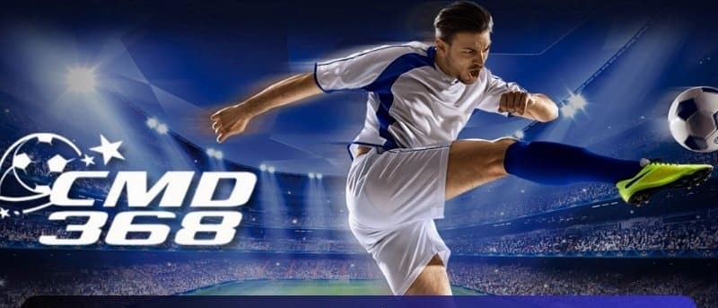 ภาพรวมของ CMD368